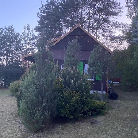 Dom Pod Sosnami Villa Rzewnie Exterior photo