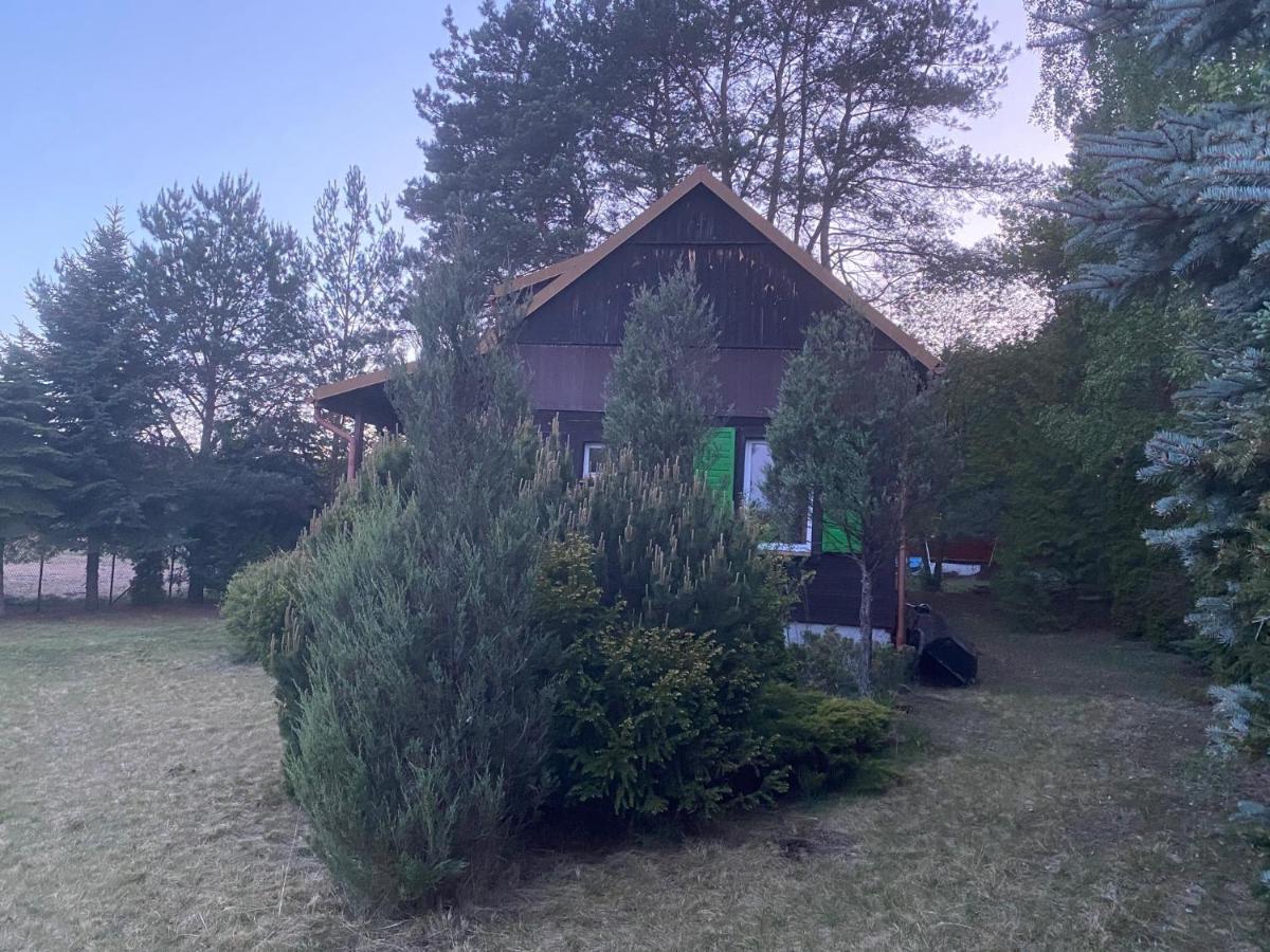 Dom Pod Sosnami Villa Rzewnie Exterior photo